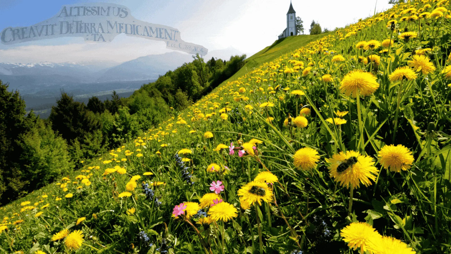 Lot promotionnel: Buccopolis 30ml + Apisirop 150ml + Apivital Complexe 500g - apivie