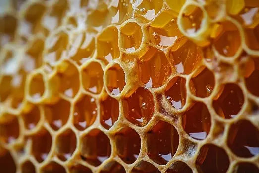 Savon végétal au miel, karité et Jasmin 100g Apivie