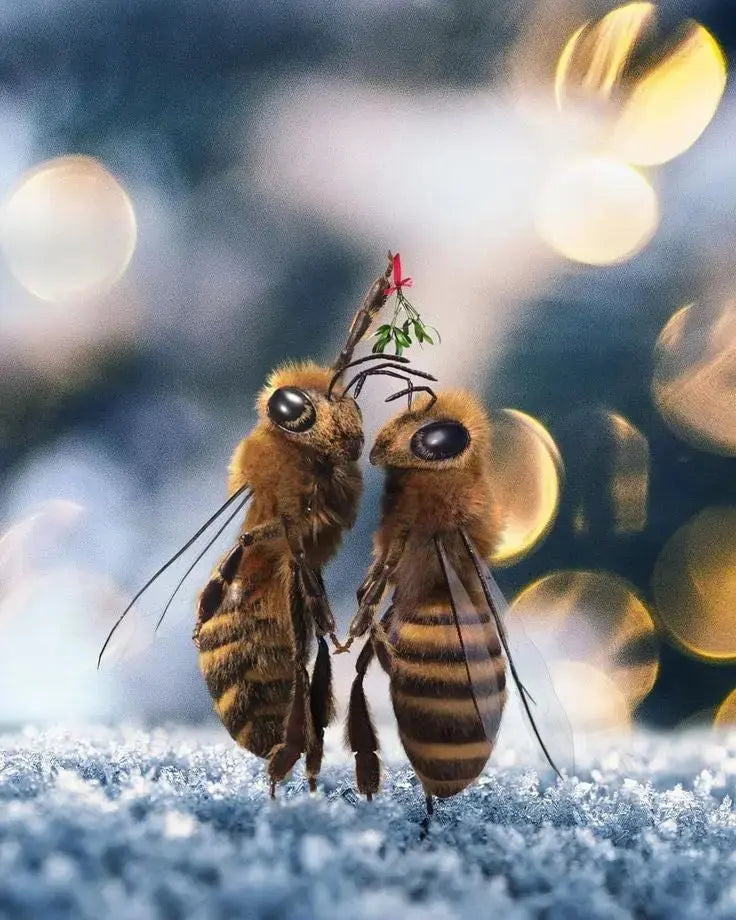 Crèmes, sticks - apivie