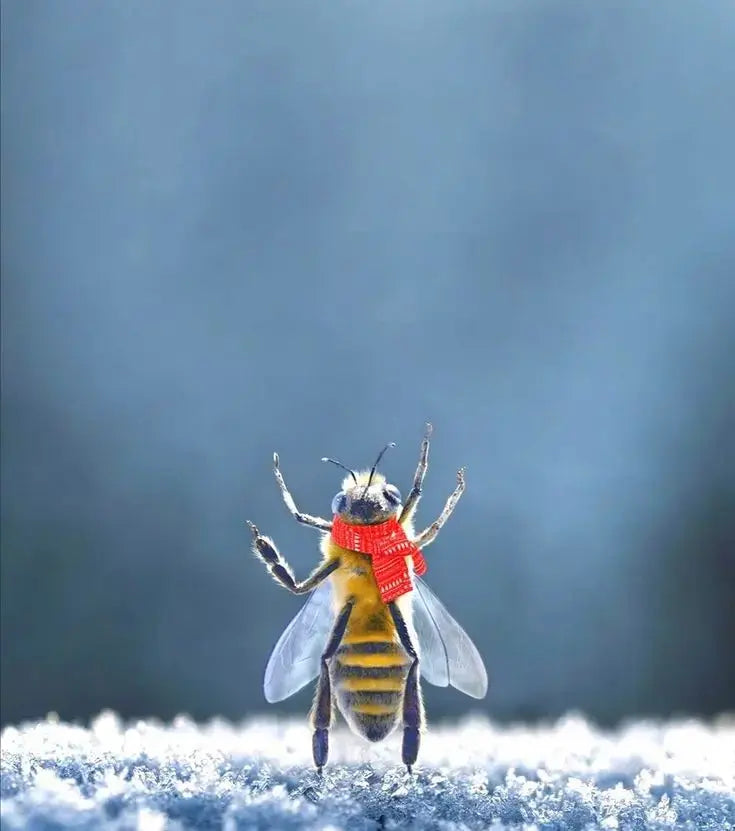 Gorge et respiration - apivie