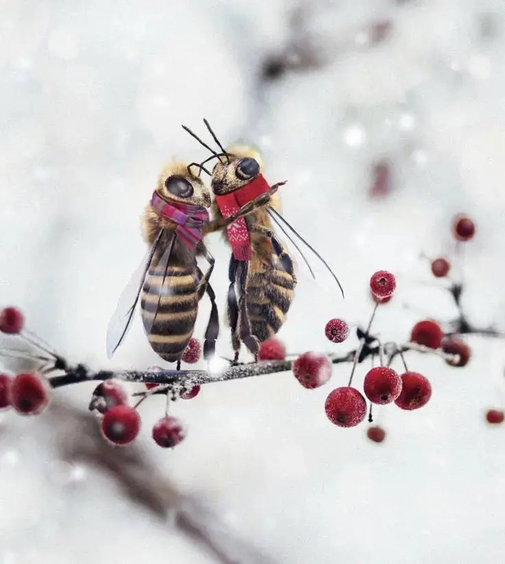 Défense et immunité - apivie