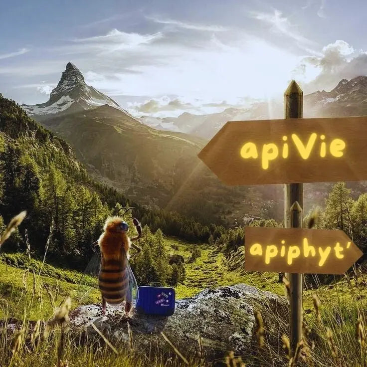 Commande-express apivie
