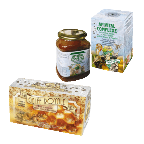 Lot promotionnel: Apivital complexe 500g + Gelée royale 30j 60g