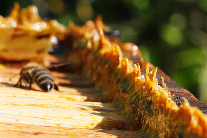 Savon végétal au miel, karité & propolis